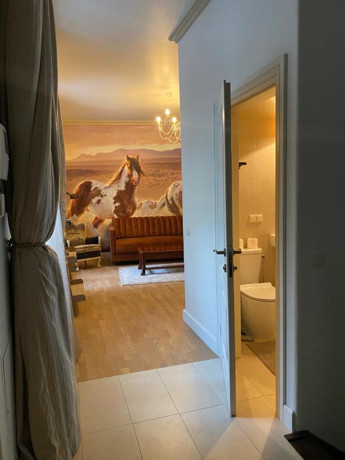 וילנה Exclusive Gaono Apartment In The Heart Of Old Town מראה חיצוני תמונה