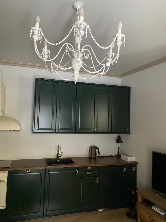 וילנה Exclusive Gaono Apartment In The Heart Of Old Town מראה חיצוני תמונה
